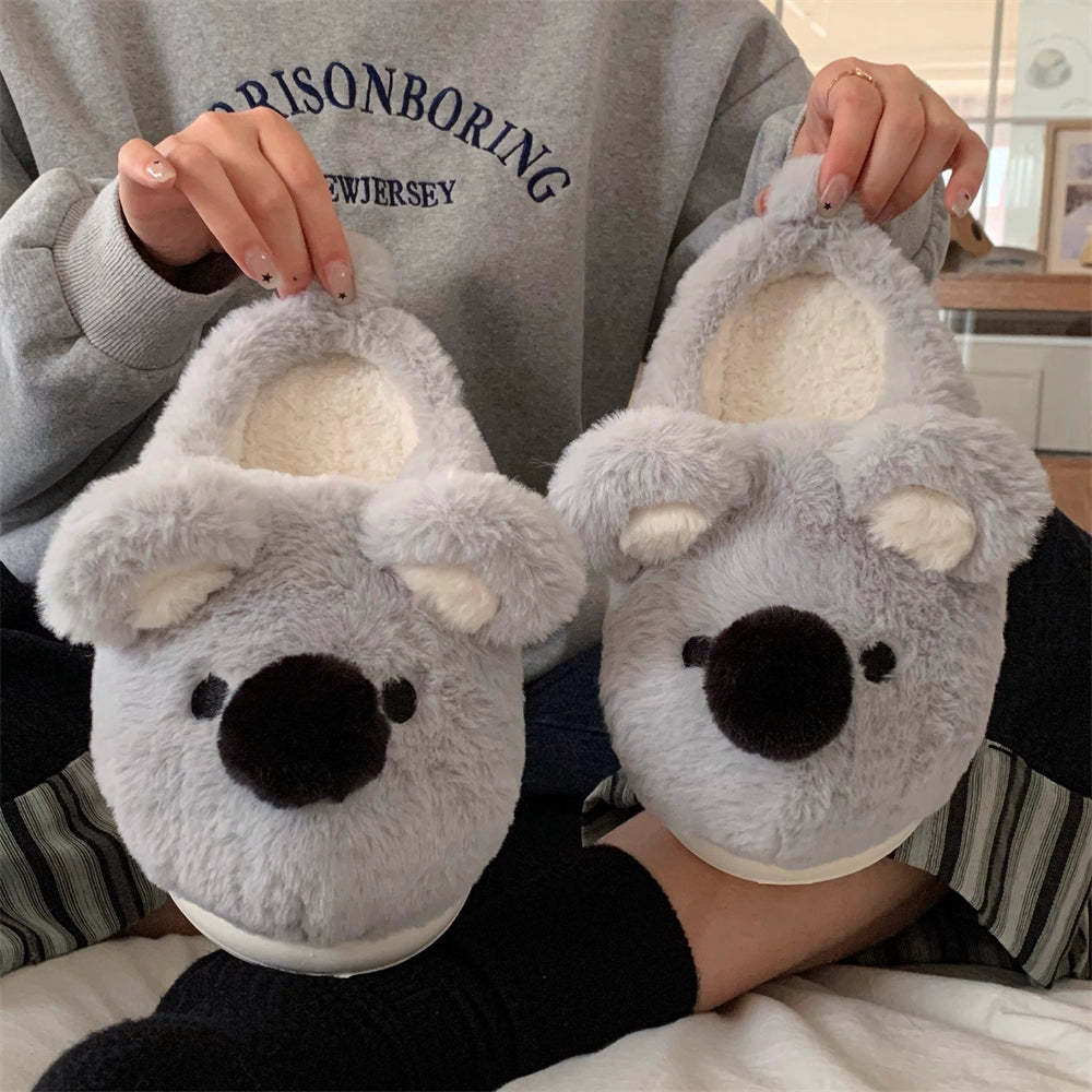 Koala Slippers